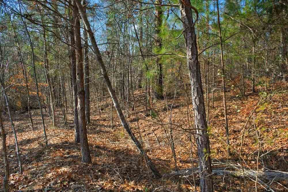 0 Casselberry Ct - Photo 1