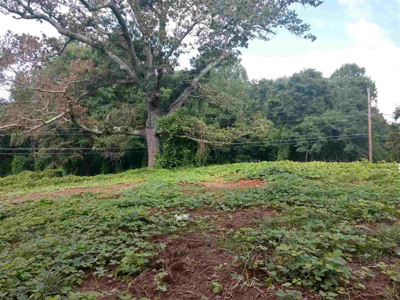 108 Livermush Rd - Photo 1