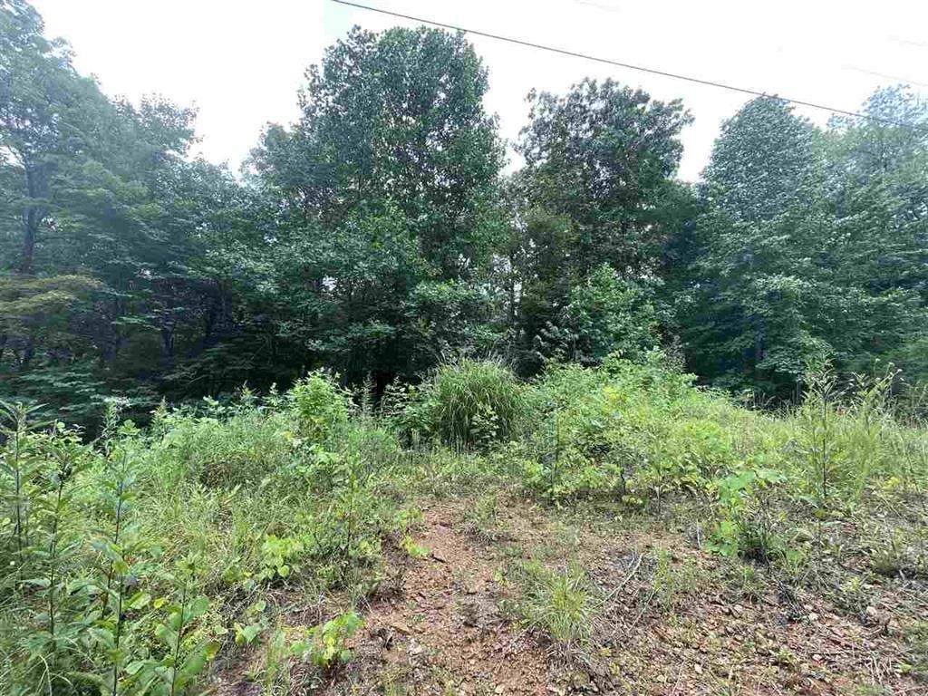 0 Pinnacle Lane - Photo 1