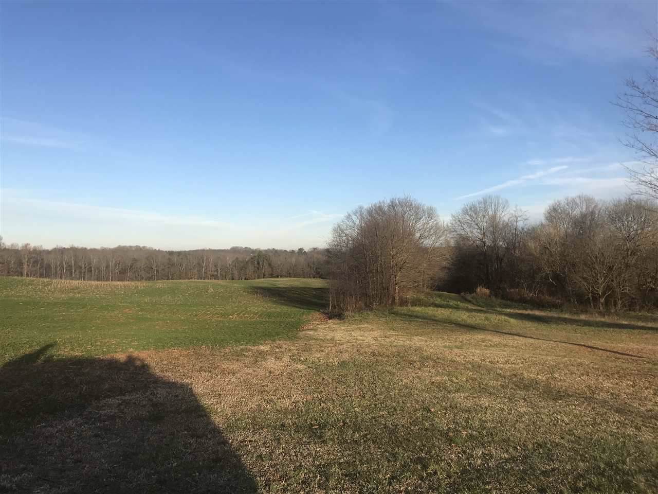 Cabaniss Rd - Photo 1