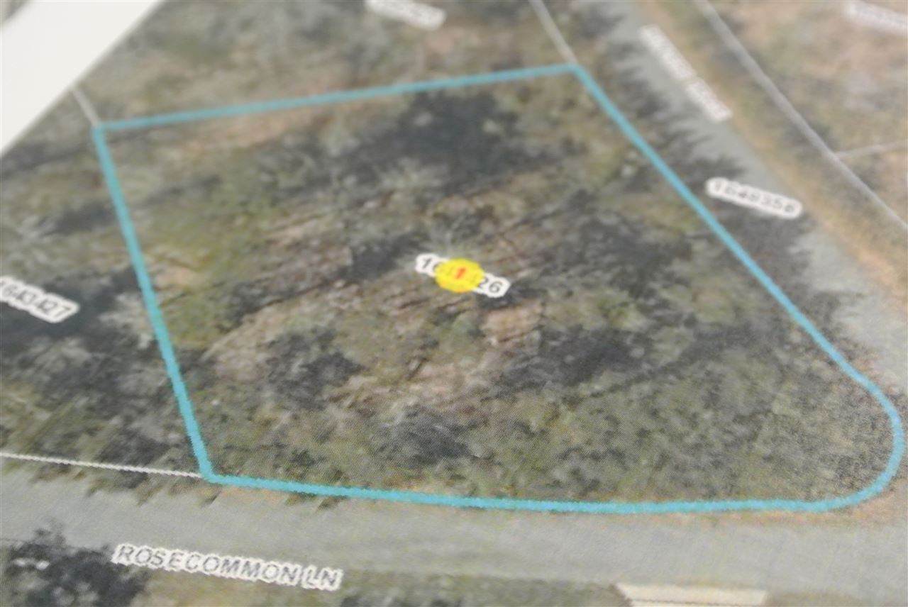 Lot 128 Rosecommon Ln - Photo 1