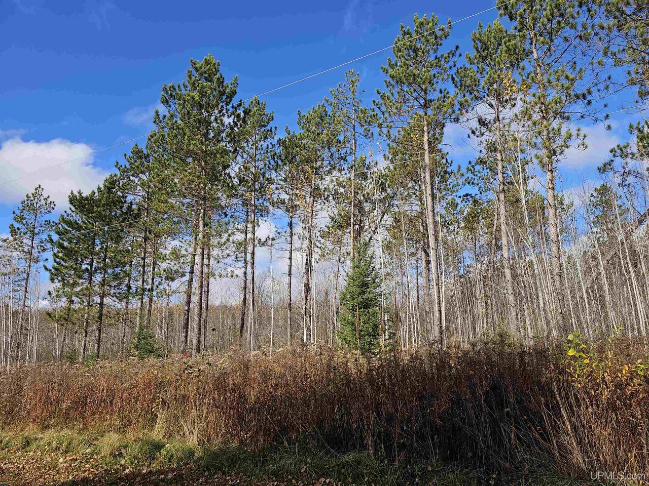https://bt-photos.global.ssl.fastly.net/realsource/1280_boomver_1_10066577-2.jpg
