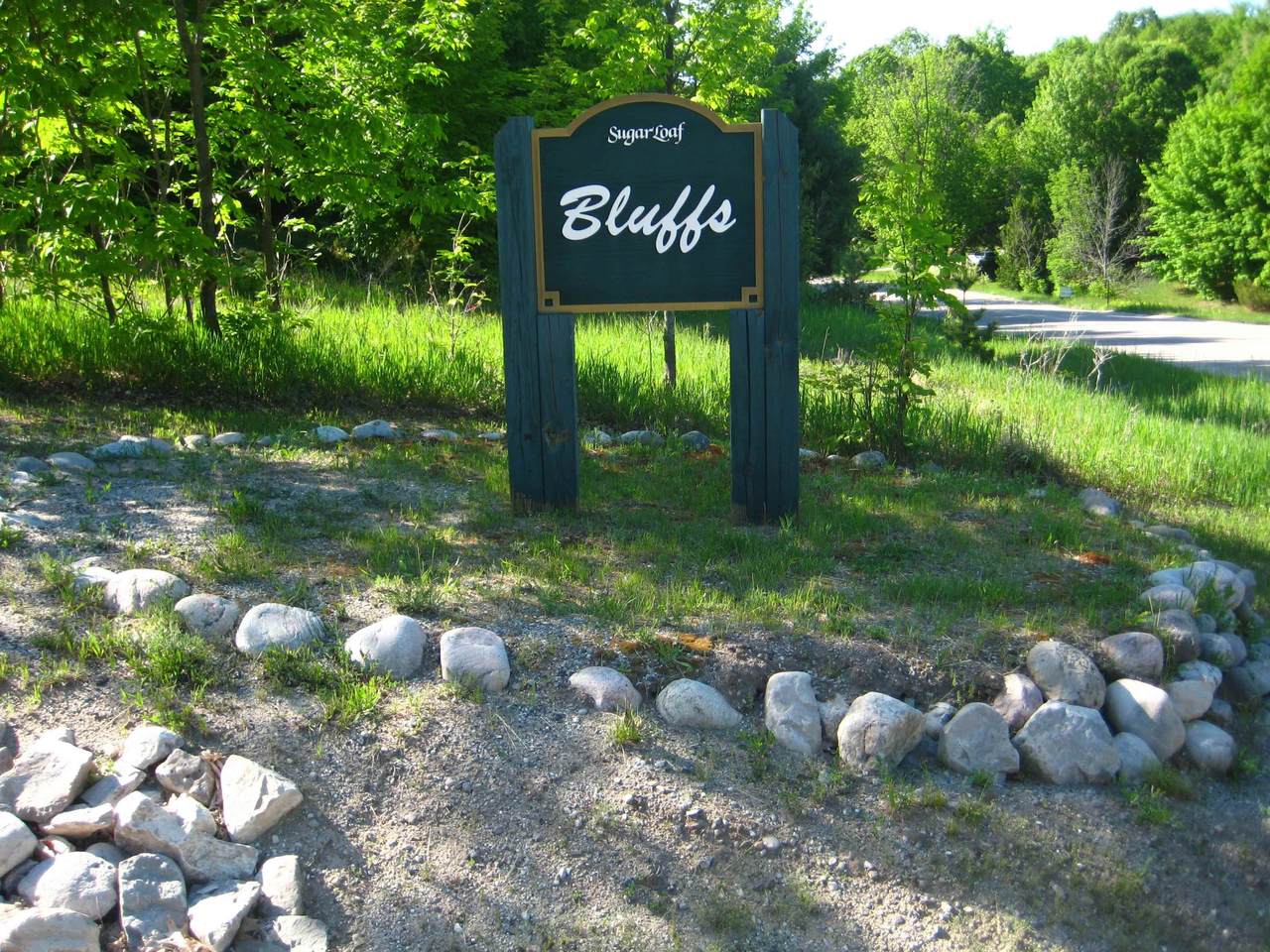 Lot 31 Sugar Loaf Mountain Road - Photo 1