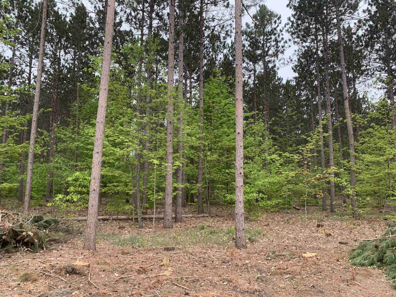 0 Thiel Road - Photo 1
