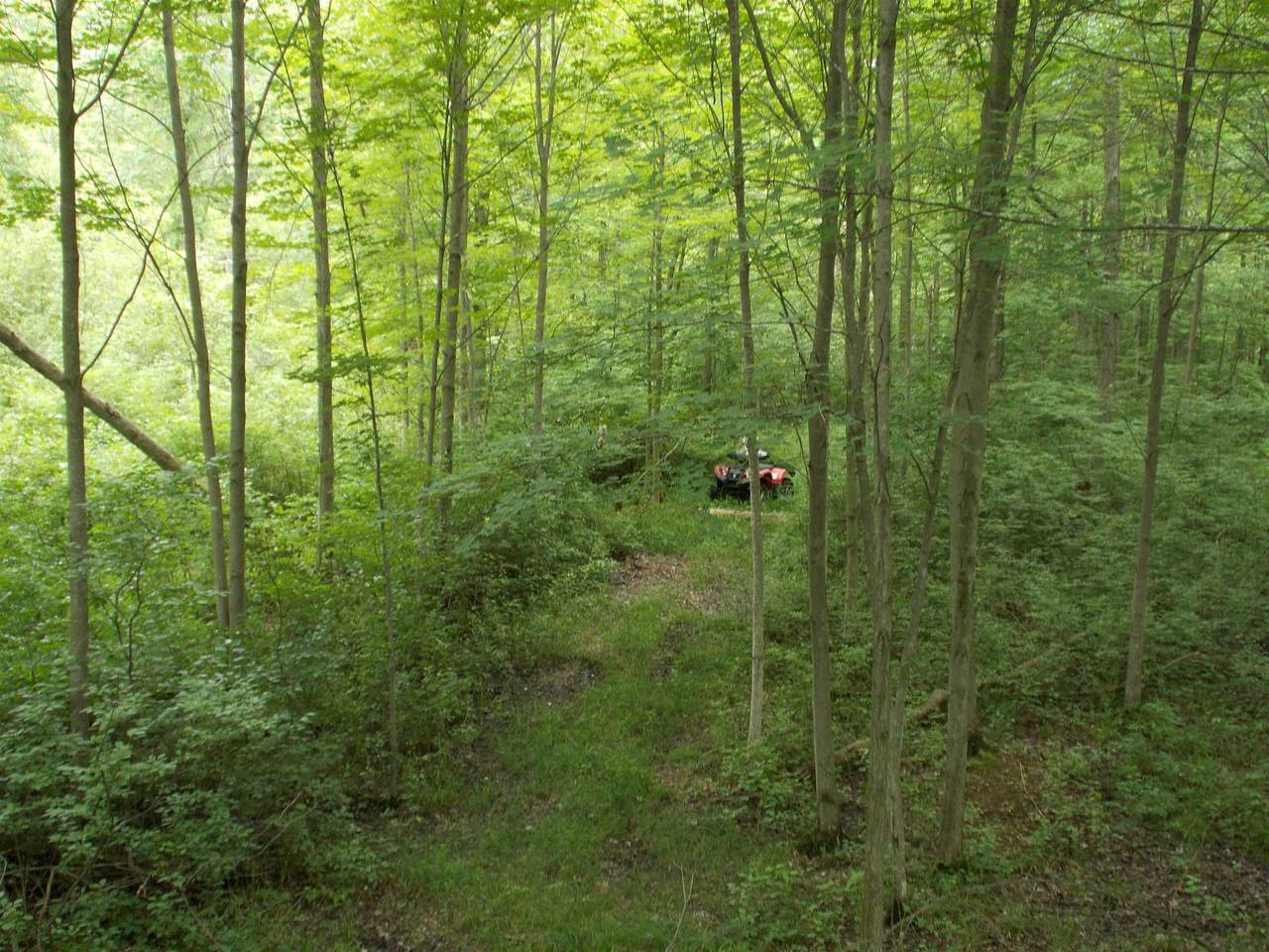 00 Bessinger Road - Photo 1