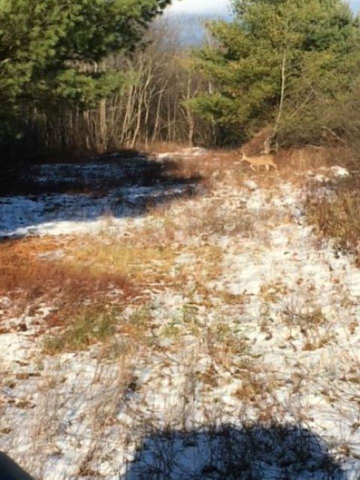 0 Bowman Road - Photo 1