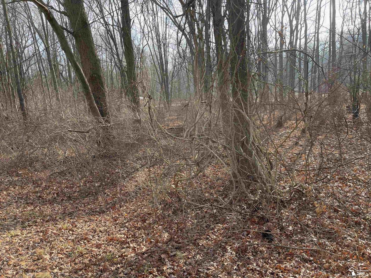 Lot 18 Onway - Photo 1