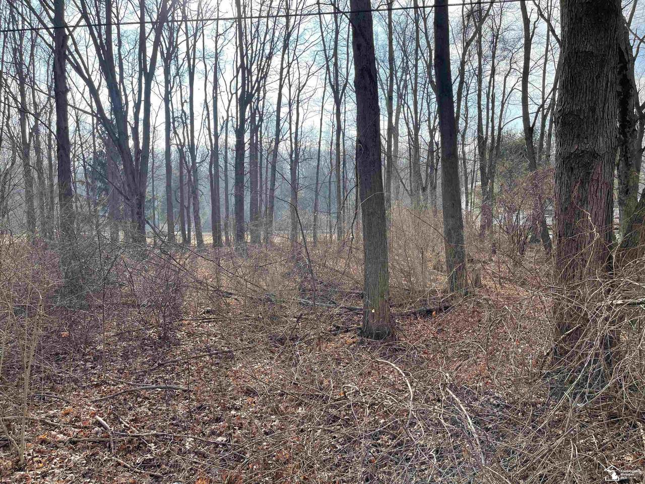 Lot 19 Onway - Photo 1