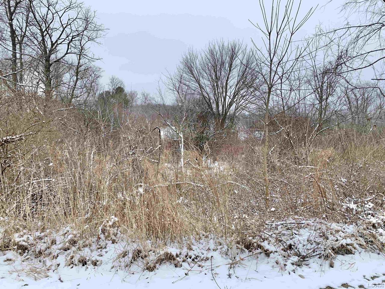 11371 Greenlawn - Photo 1