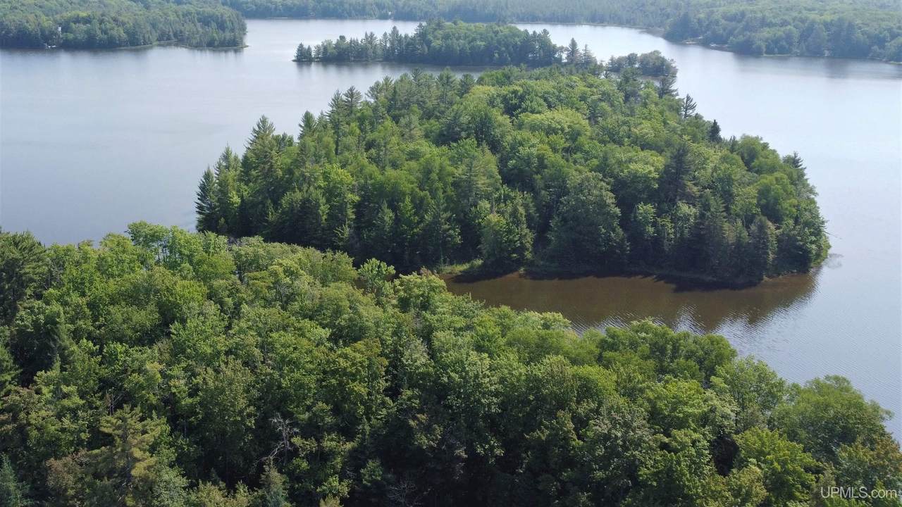 Off Sixteen Mile Lake - Photo 1