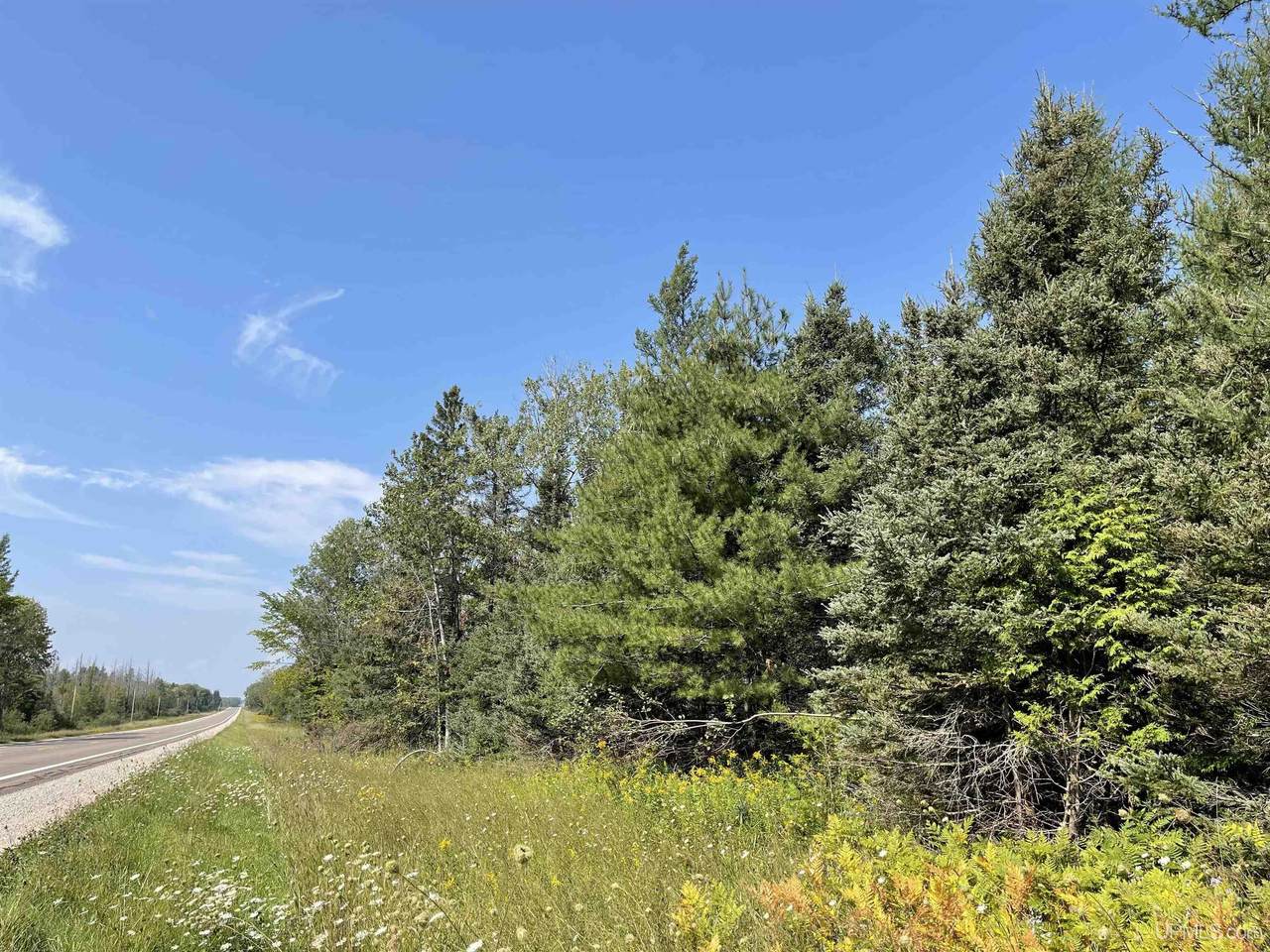 80 Acres Off M94 - Photo 1