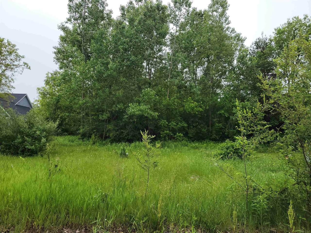 1375 Elm - Photo 1