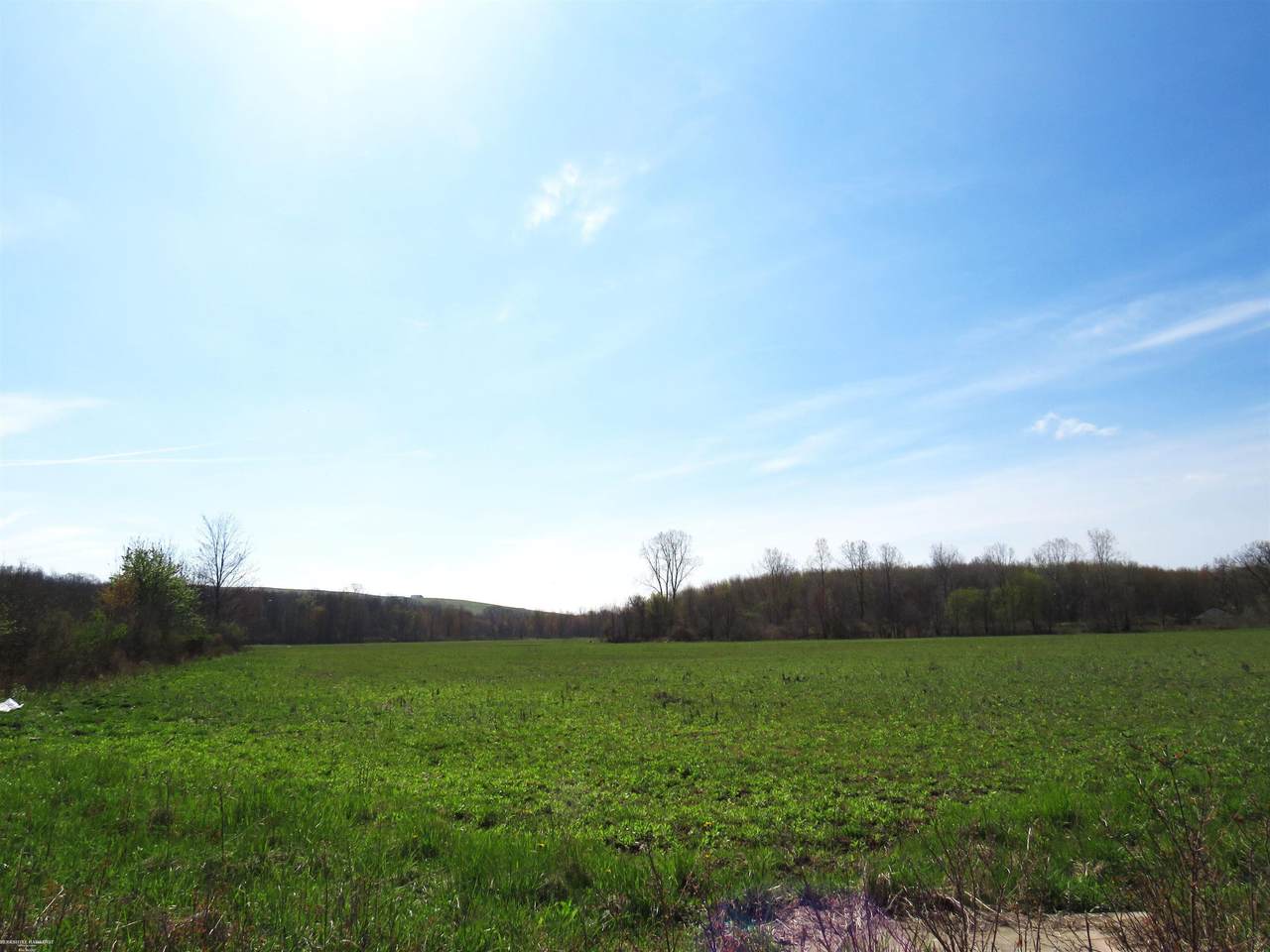 0 Gratiot - Photo 1