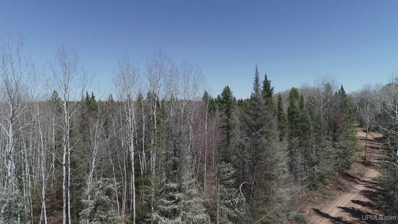 252 Acres Helen Lake - Photo 1