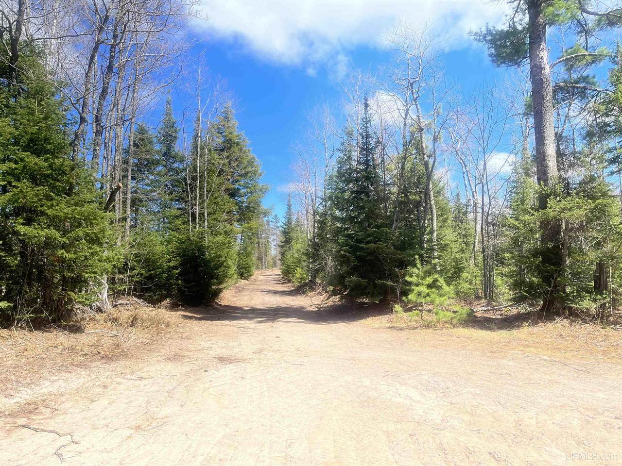 480 Acres Off Cr Aaa - Photo 1