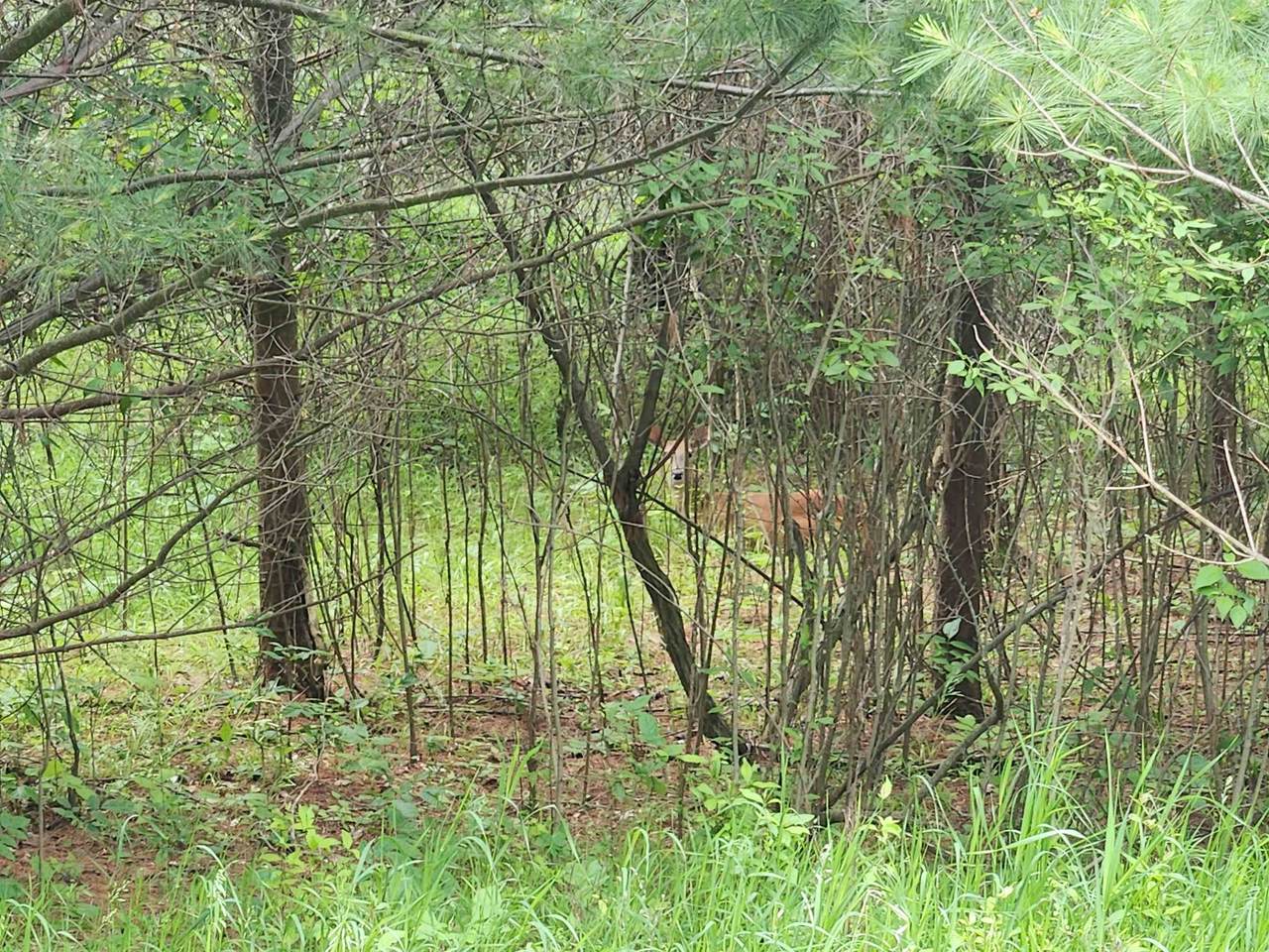 https://bt-photos.global.ssl.fastly.net/realsource/1280_boomver_1_50144885-2.jpg