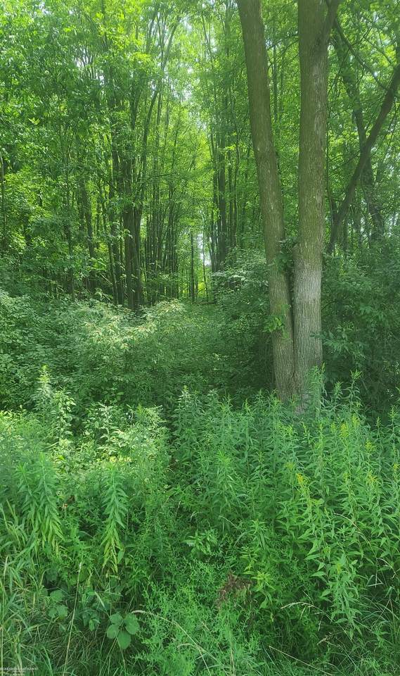 00 Sheridan - Photo 1