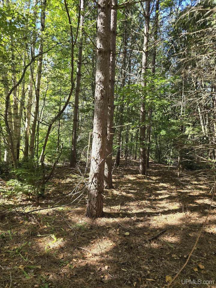 Unit 17 Liminga - Photo 1