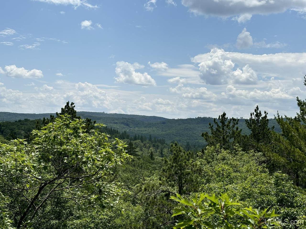 on Bushy Cr Truck Trail - Photo 1