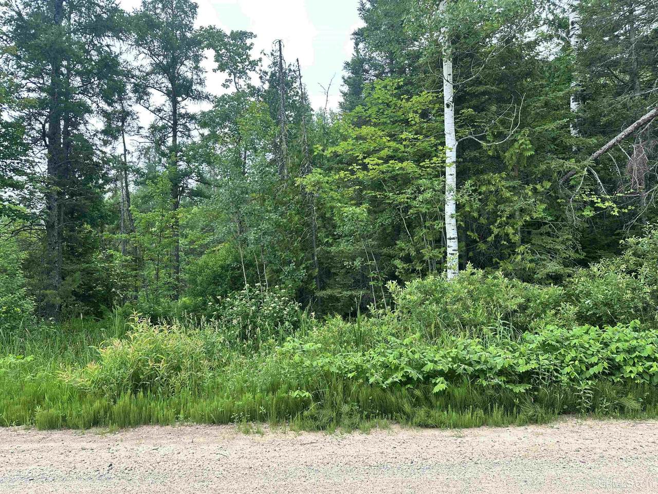 TBD Deerton Onota - Photo 1