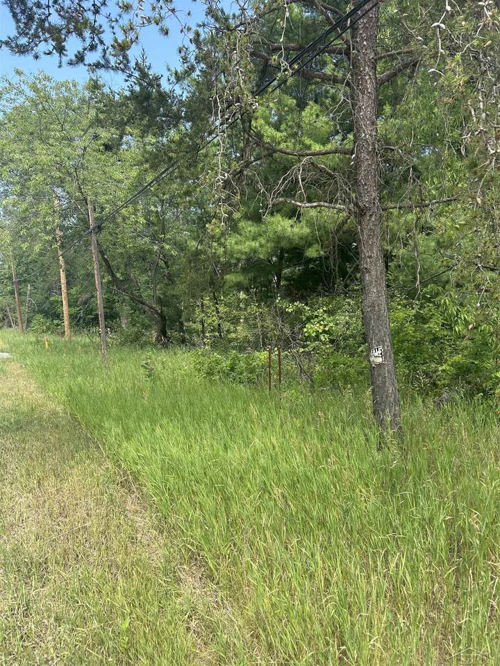 Lot 24 Greenwood - Photo 1