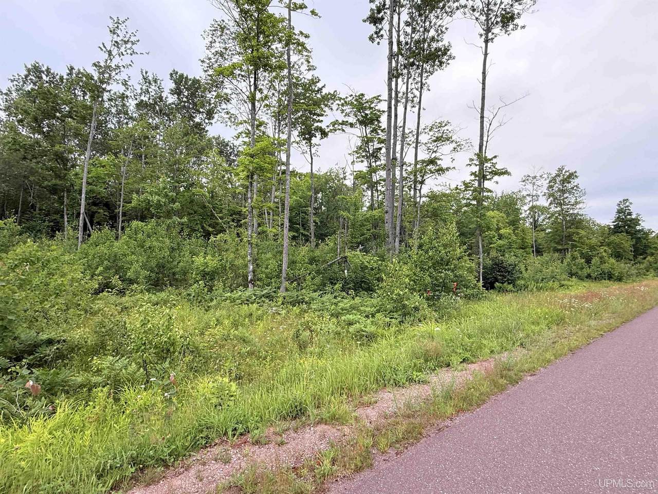 Unit 4 Greenway - Photo 1