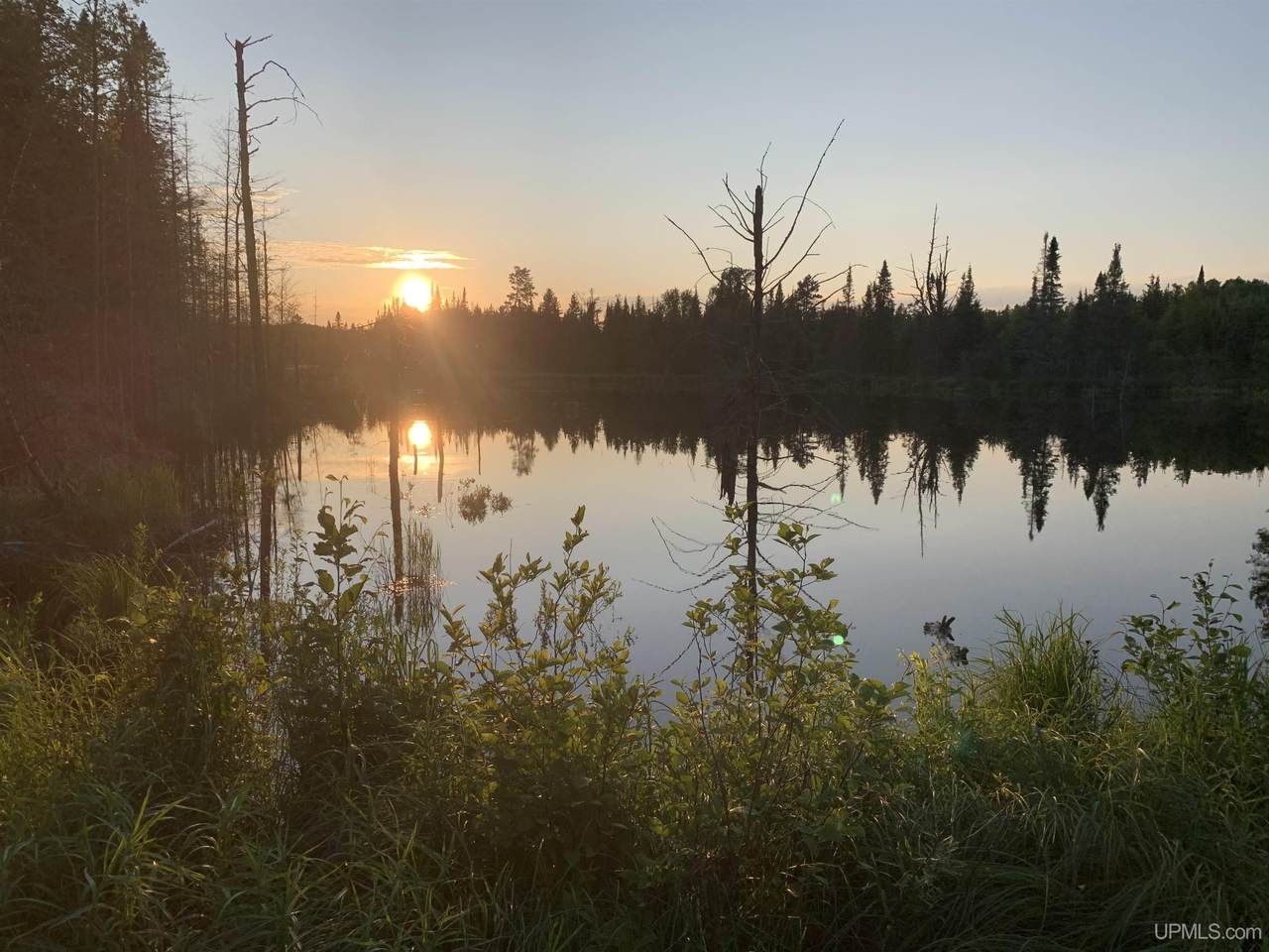 280A Camp One - Photo 1