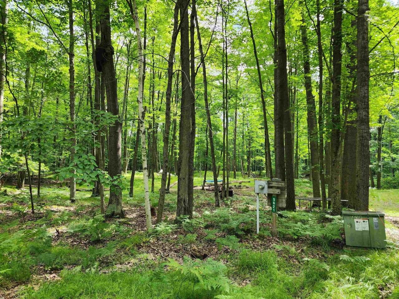 Lot 961 Clover - Photo 1