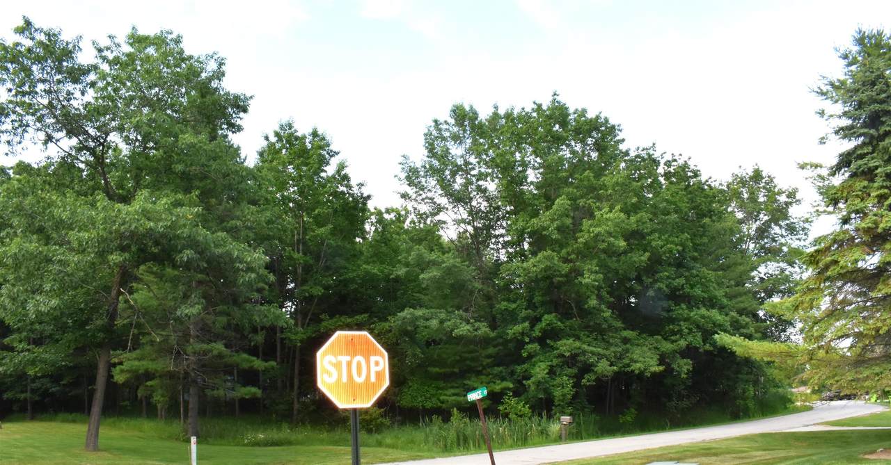 Lot 234 Kings - Photo 1