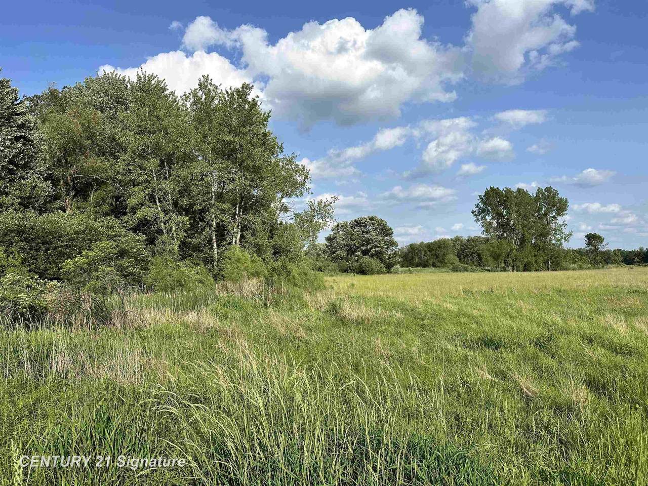 60 Estey - Photo 1