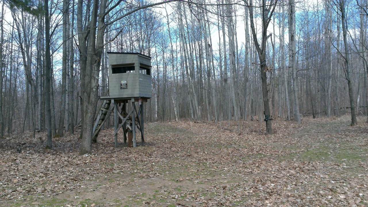 NHN 40 Acres Heath - Photo 1