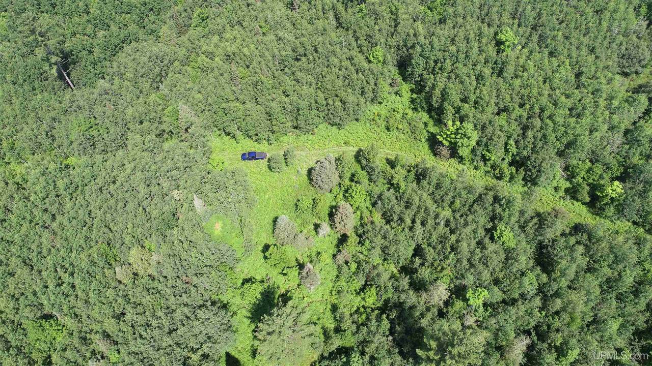80 Acres Off M69 - Photo 1