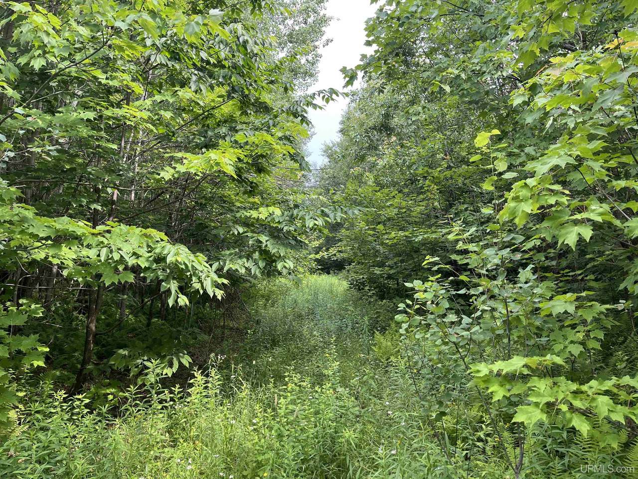 80 Acres Atherton - Photo 1