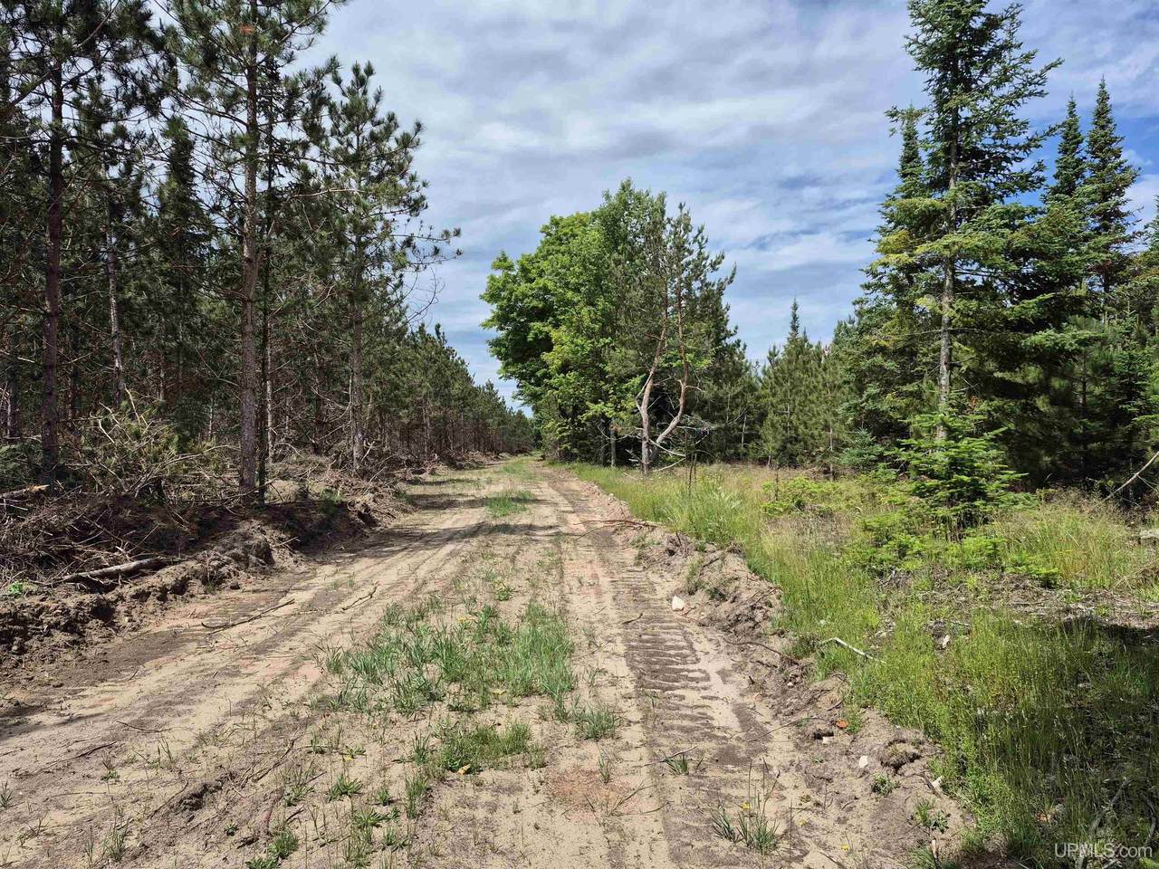 80 Acres Off Little Harbor - Photo 1