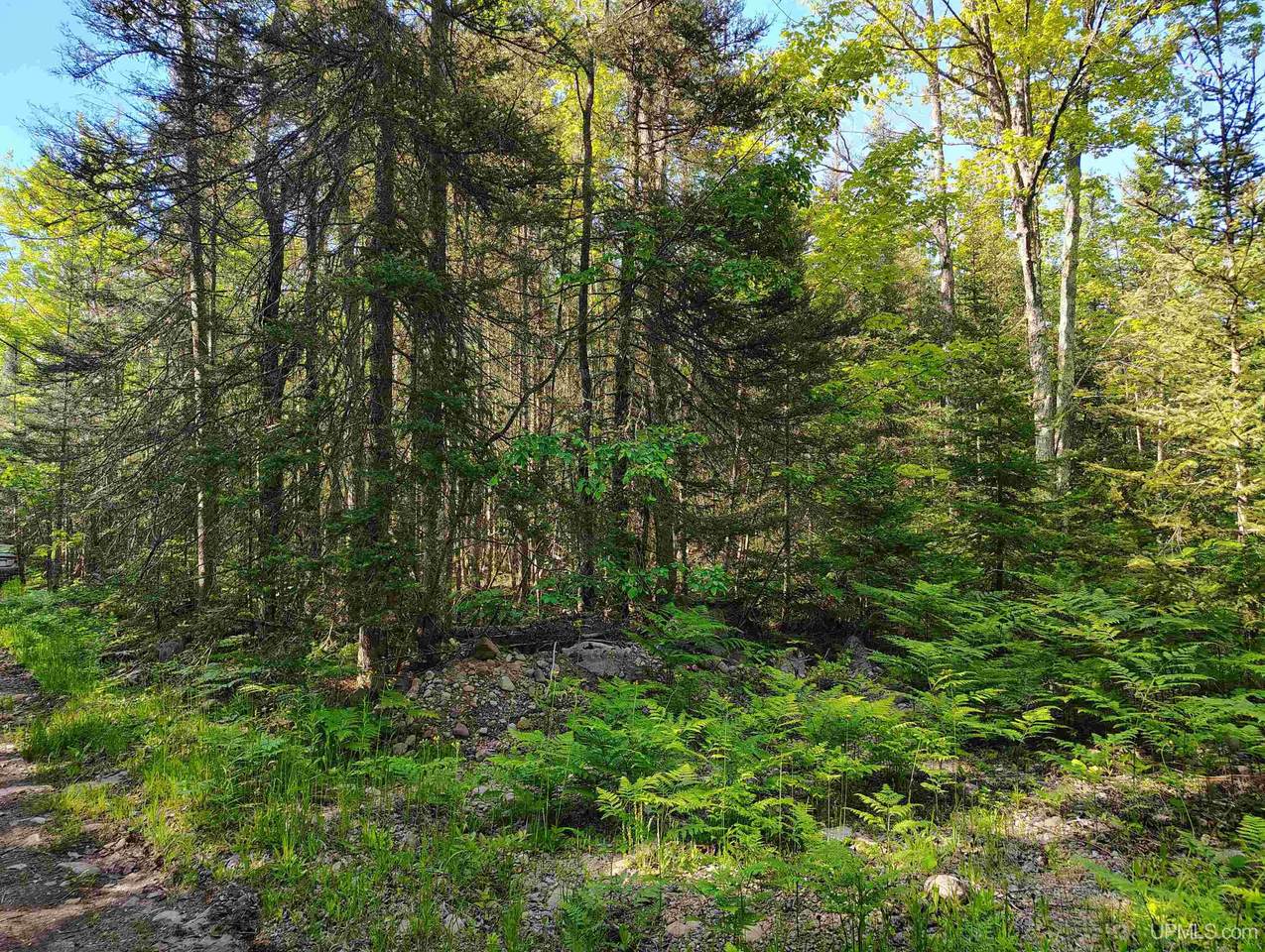 TBD Lake Superior Point - Photo 1