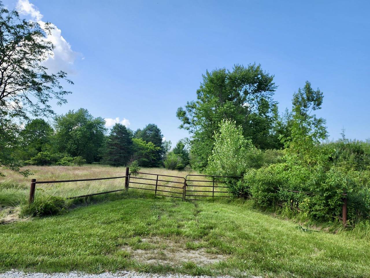 Vacant Springborn - Photo 1