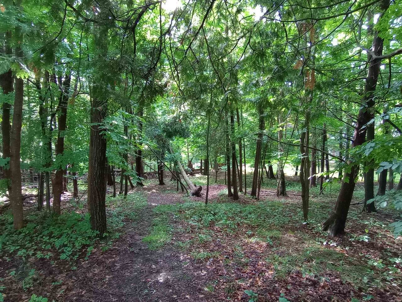 Lot 47 Linksview - Photo 1