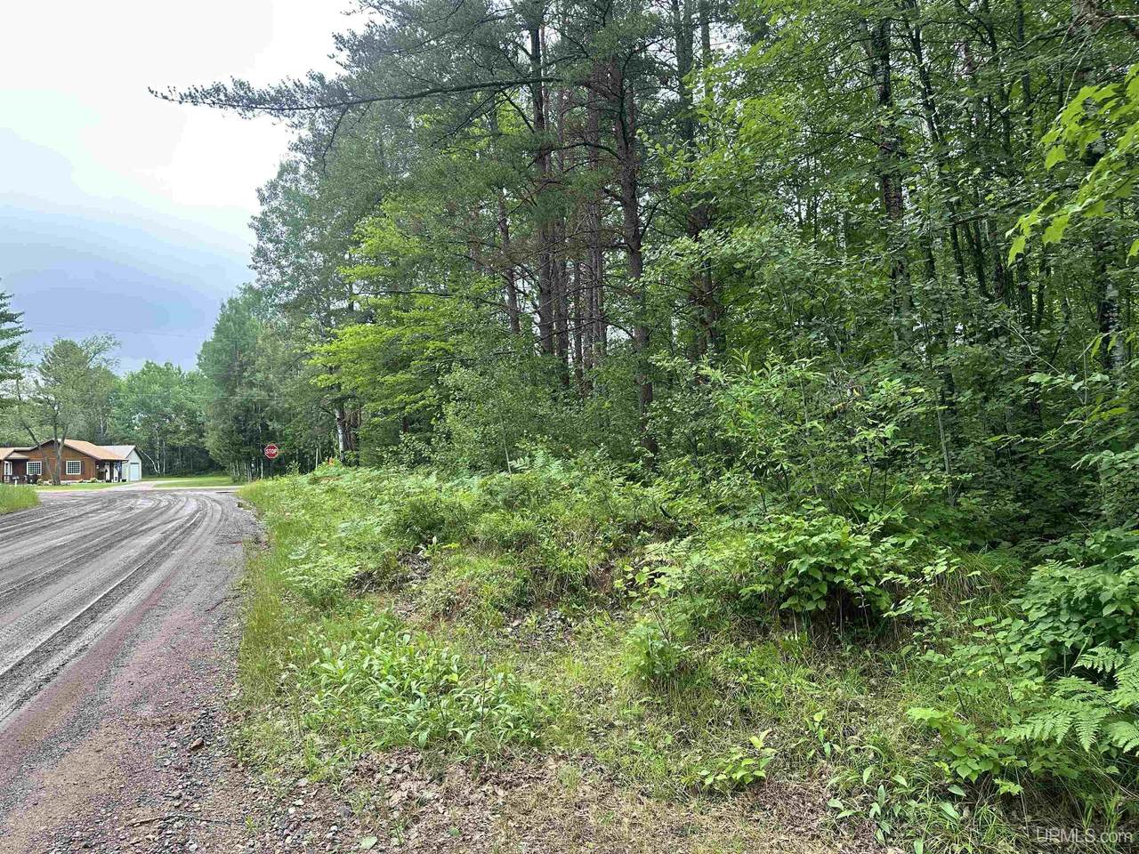 19 Johnson Lake - Photo 1