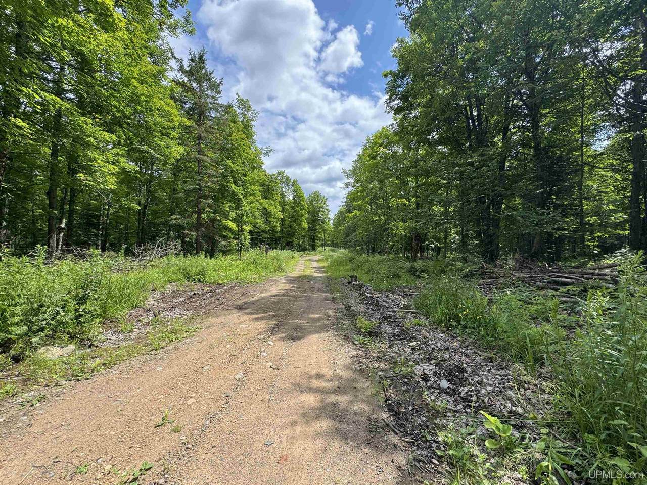 33 Acres Off Bates Amasa - Photo 1
