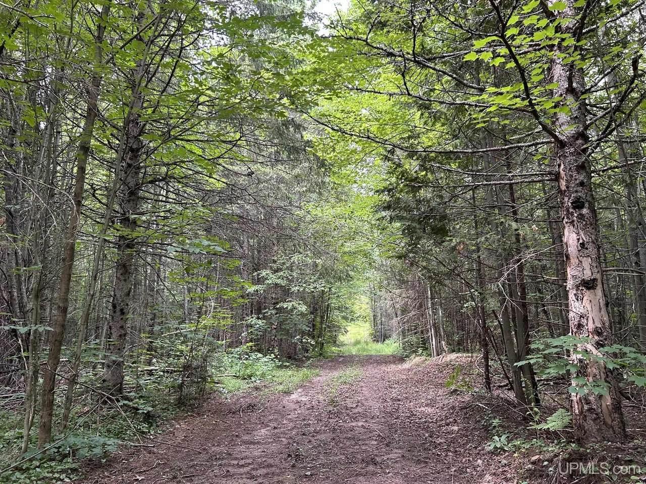 TBD Rova - 120 Acres - Photo 1