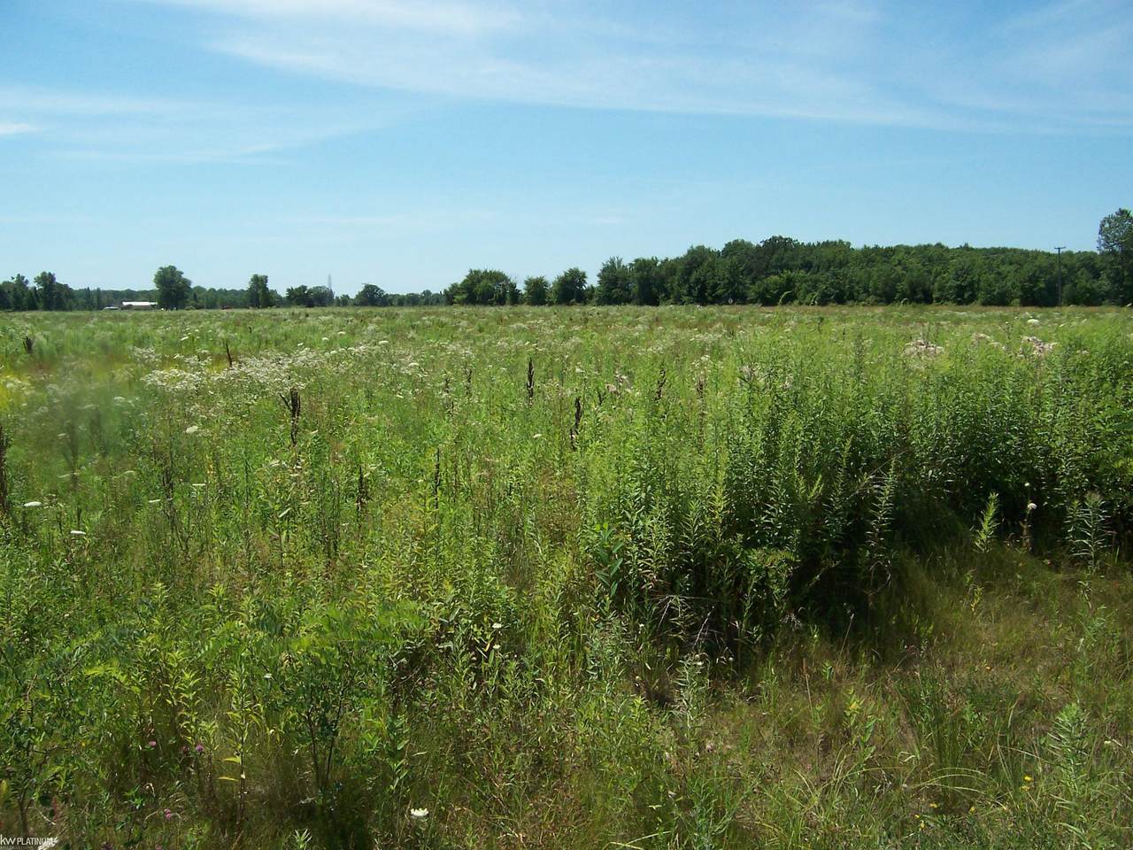 Lot B Masters Rd - Photo 1