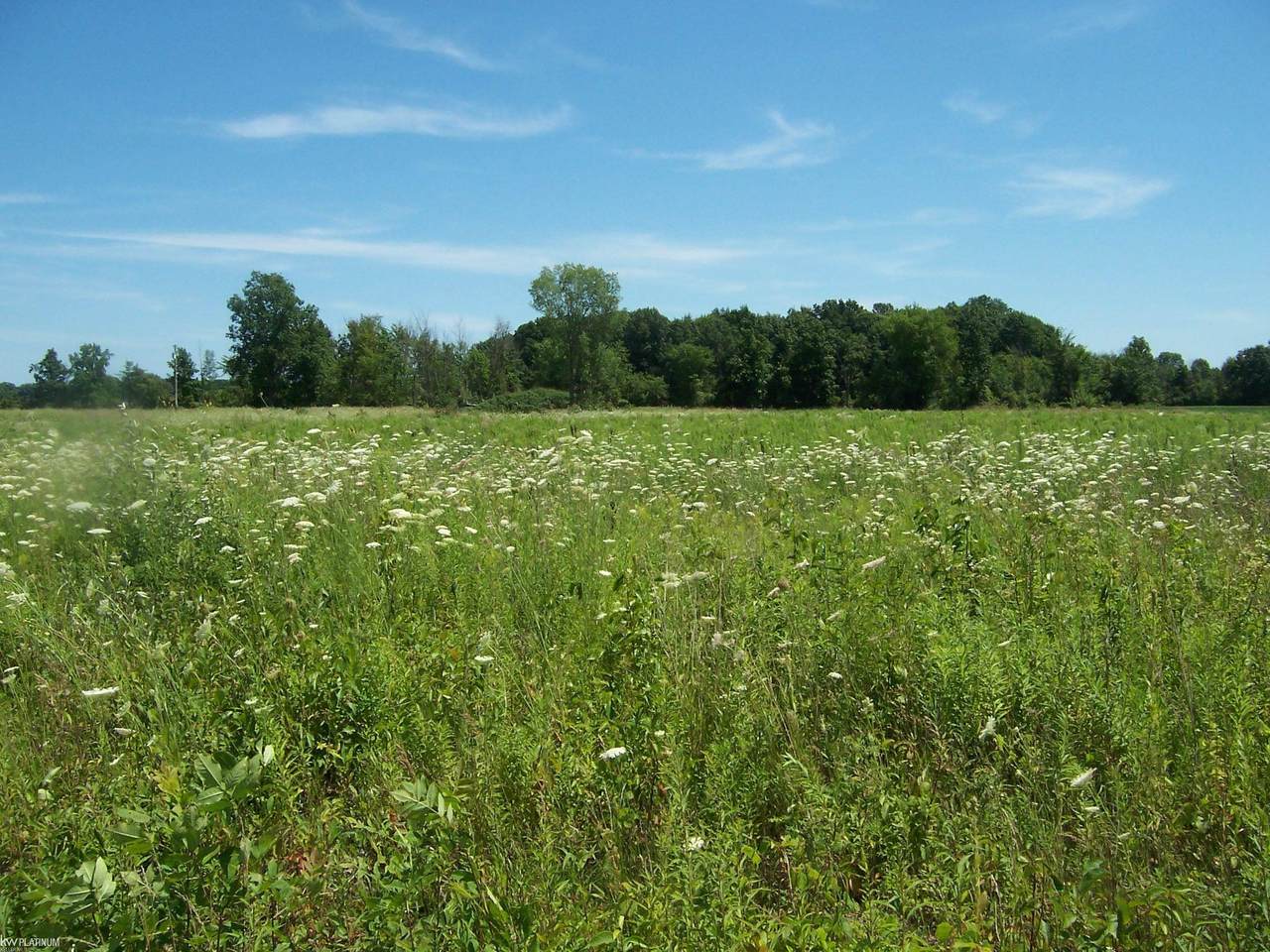Lot E Calvin Rd - Photo 1