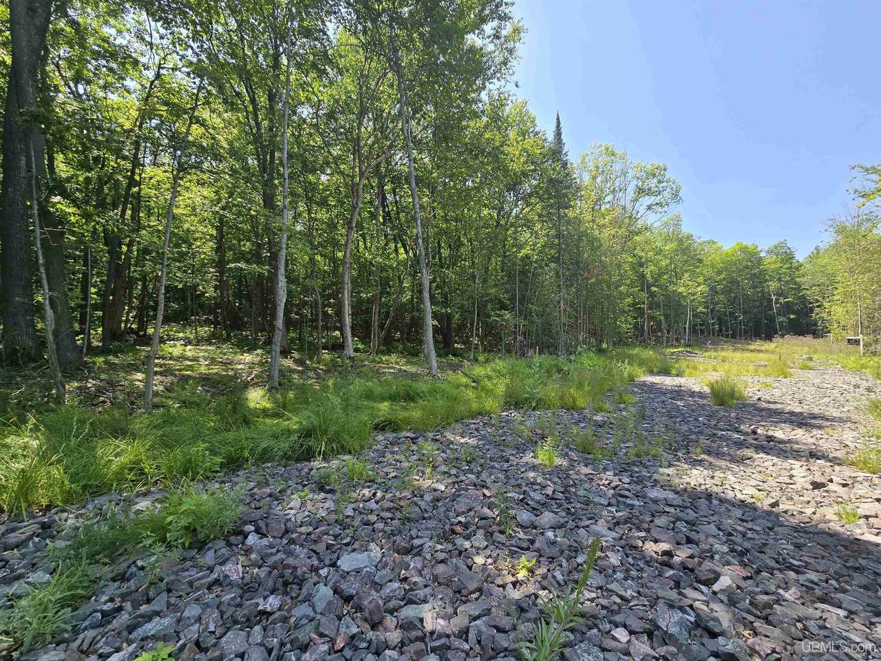 1905 Poplar - Photo 1