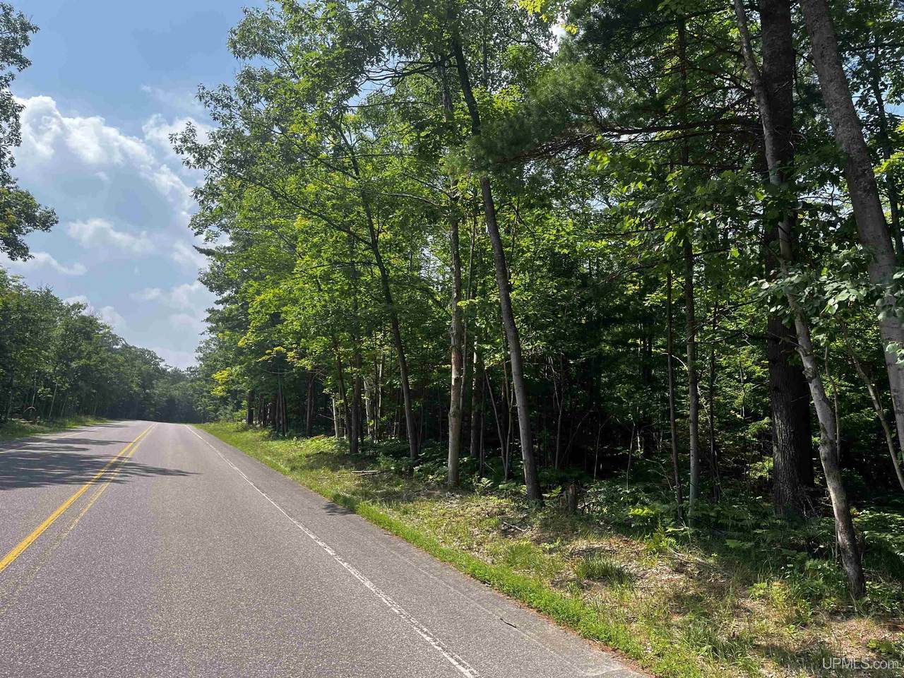 20 acres County Road 510 - Photo 1