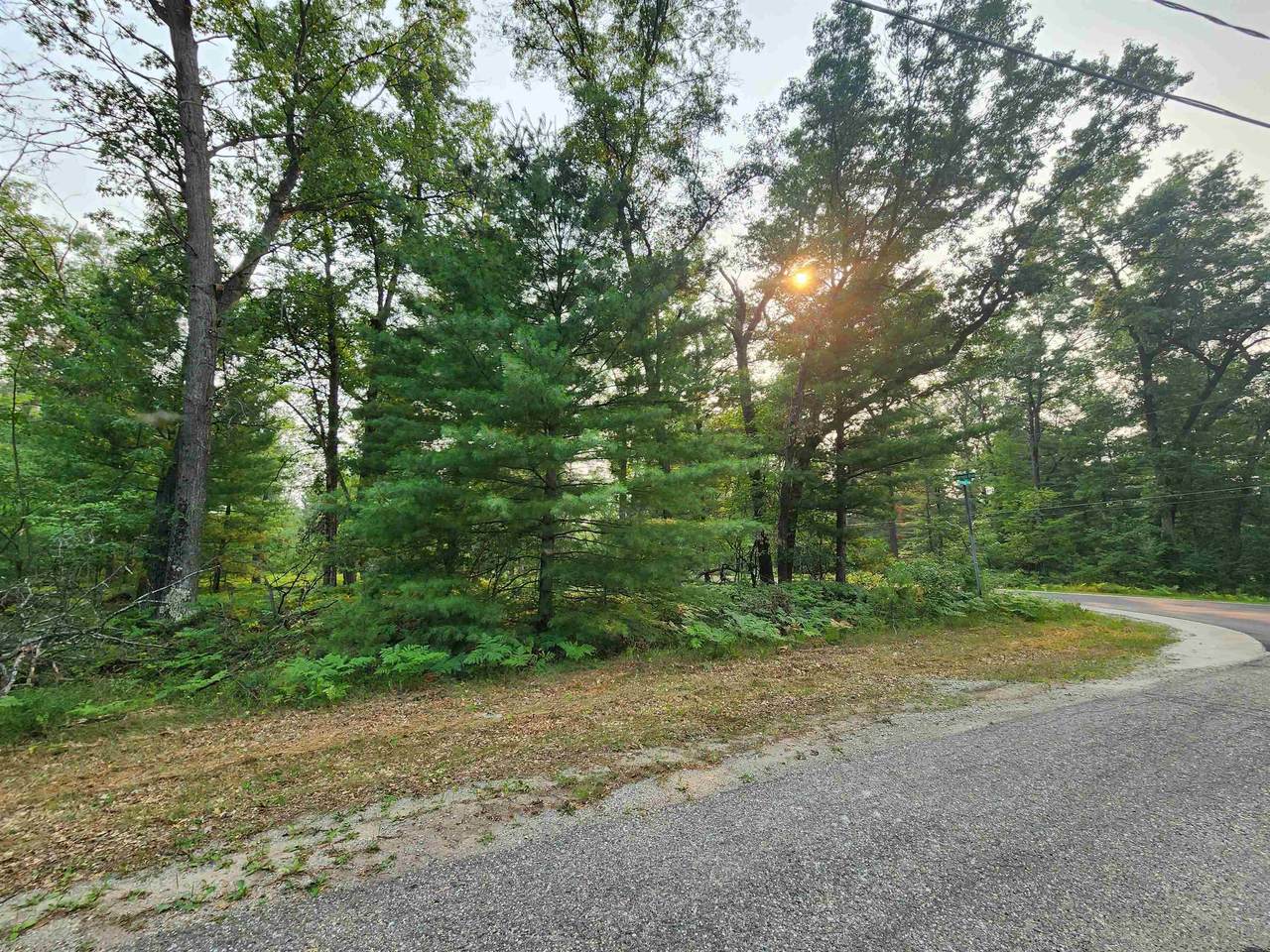Lot 98 Wilderness - Photo 1