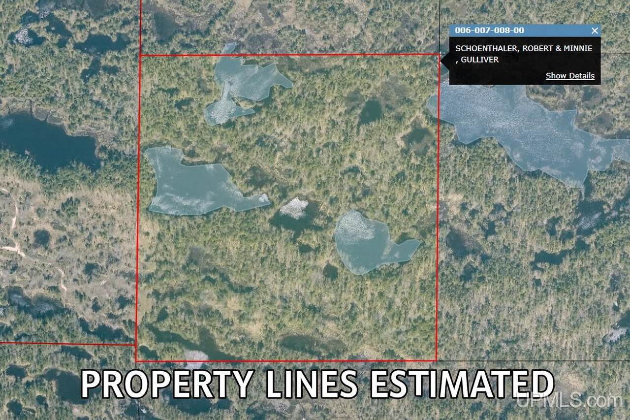 39 Acres Tbd Road - Photo 1