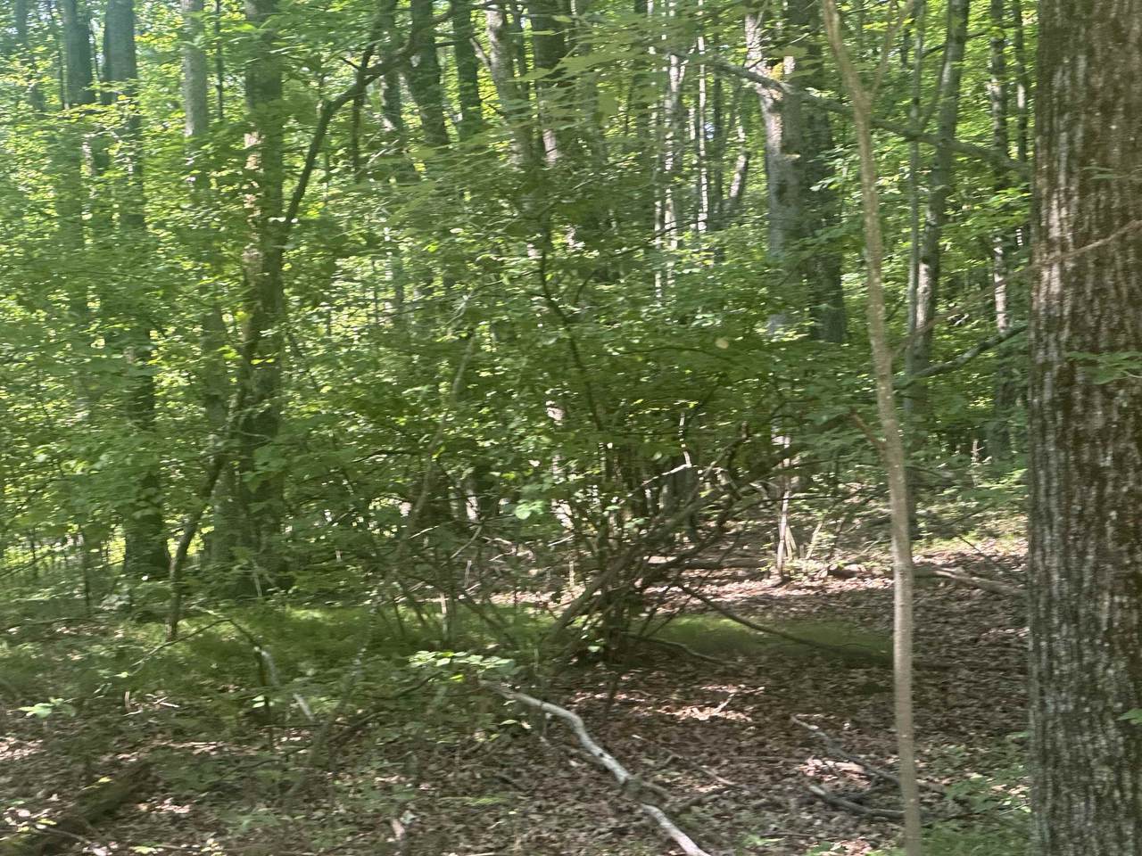 Lot#179 Mockingbird Circle - Photo 1