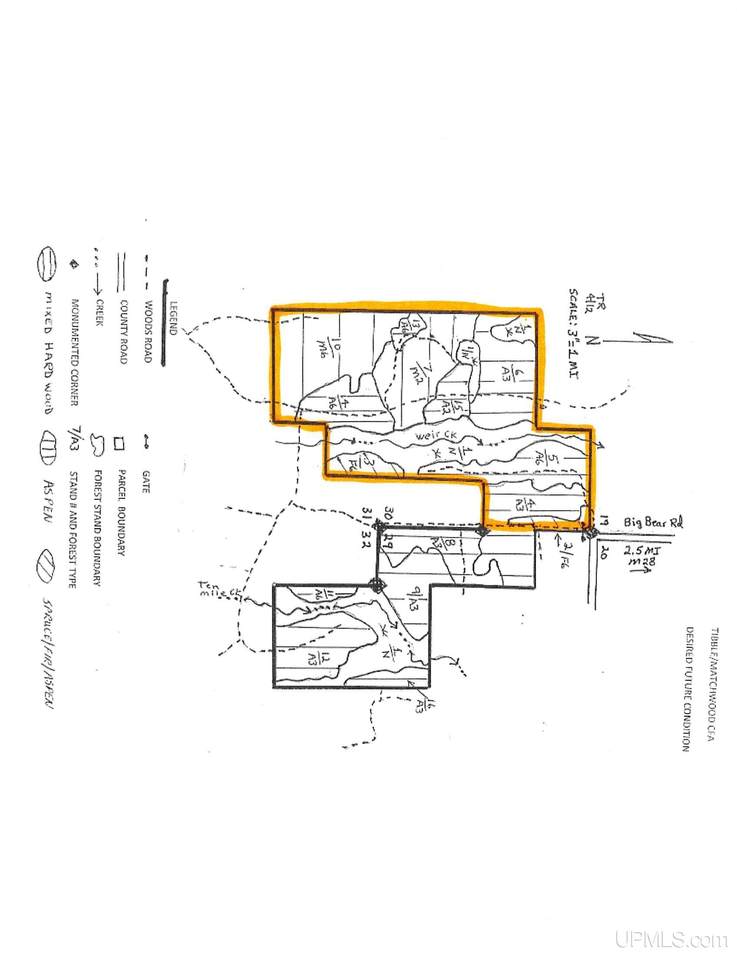 TBD Big Bear - Photo 1
