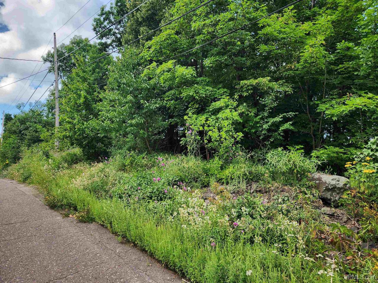 TBD 16 & 17 Calverley - Photo 1