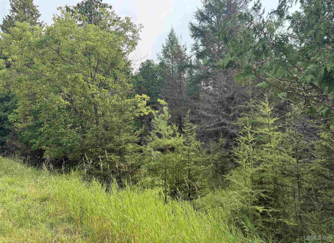 TBD County 503 Cc - Photo 1